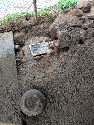 봉림동 태진농장님의 우리지역 대표작물 자랑하기 · 참여글 작성글 사진