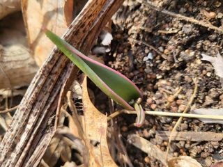 세종키다리님의 기타작물 · 자유게시판 작성글 사진