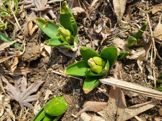 세종키다리님의 기타작물 · 자유게시판 작성글 사진