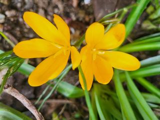 세종키다리님의 기타작물 · 자유게시판 작성글 사진