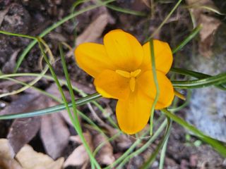 세종키다리님의 기타작물 · 자유게시판 작성글 사진