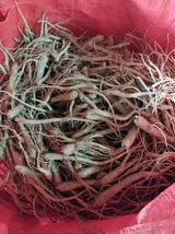 팜모닝 기타작물·자유게시판 게시글 이미지