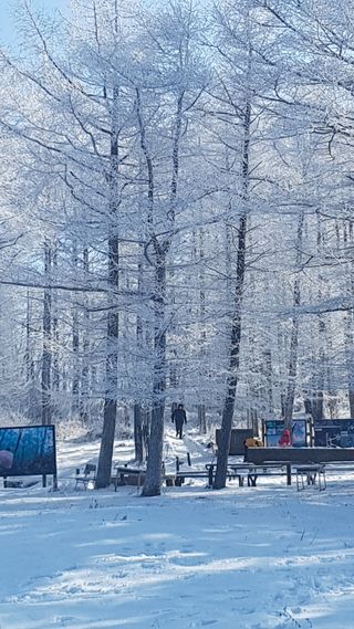 감자16337님의 자유주제 · 자유게시판 작성글 사진