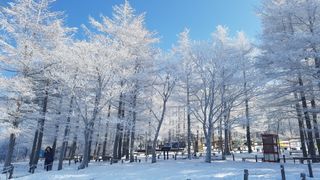 감자16337님의 자유주제 · 자유게시판 작성글 사진