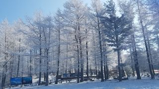 감자16337님의 마늘 · 일상 작성글 사진