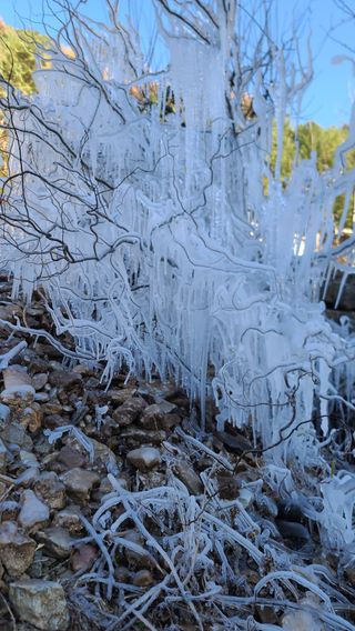 감자16337님의 마늘 · 일상 작성글 사진