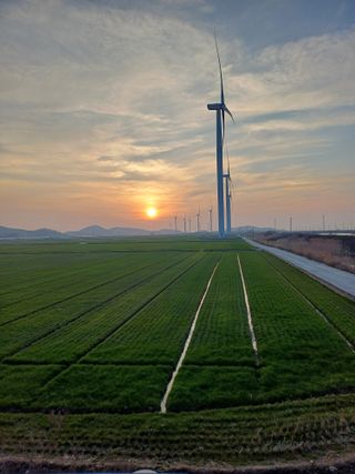 전영일님의 자유주제 · 자유게시판 작성글 사진