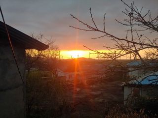 전영일님의 자유주제 · 자유게시판 작성글 사진