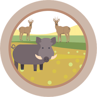 오호Ohoo님의 작성글 사진