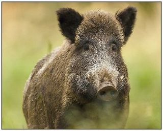 오호Ohoo님의 작성글 사진