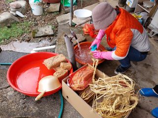 유병욱님의 기타작물 · 영농일지 작성글 사진