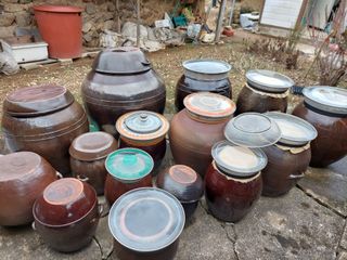 유병욱님의 기타작물 · 영농일지 작성글 사진