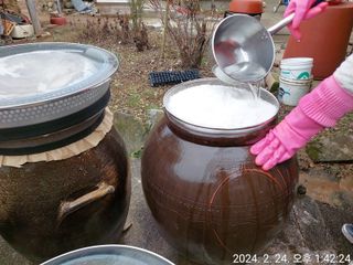 유병욱님의 기타작물 · 영농일지 작성글 사진