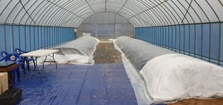 향적농원(정은상)님의 고추 · 일상 작성글 사진