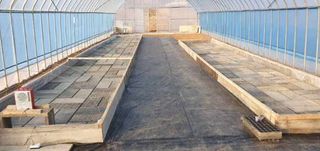 향적농원(정은상)님의 고추 · 일상 작성글 사진