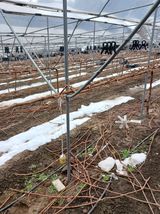 팜모닝 3월 농사 계획 같이해요·참여글 게시글 이미지