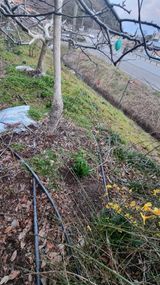 팜모닝 자유주제·자유게시판 게시글 이미지