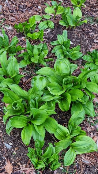 푸른꿈님의 자유주제 · 자유게시판 작성글 사진