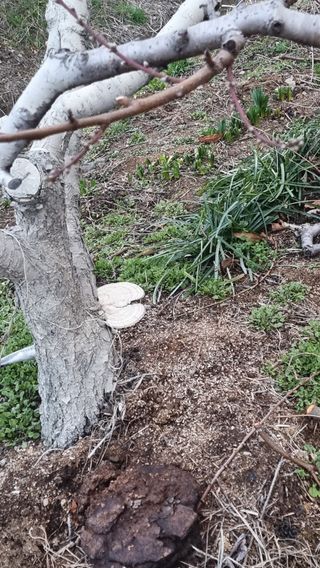 푸른꿈님의 자유주제 · 자유게시판 작성글 사진