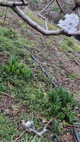 푸른꿈님의 자유주제 · 자유게시판 작성글 사진