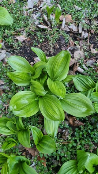 푸른꿈님의 자유주제 · 자유게시판 작성글 사진