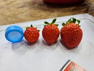 안성화님의 작성글 사진