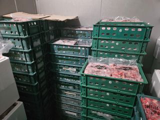 안성화님의 작성글 사진