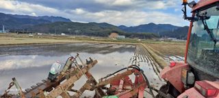 사천시향촌동 돼지띠님의 벼 · 자유게시판 작성글 사진