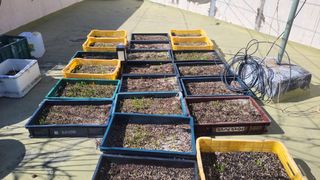 복숭아11454님의 3월 농사 계획 같이해요 · 참여글 작성글 사진