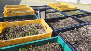 복숭아11454님의 3월 농사 계획 같이해요 · 참여글 작성글 사진