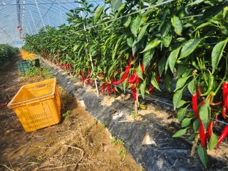 주)미산 조전무님의 자유주제 · 자유게시판 작성글 사진