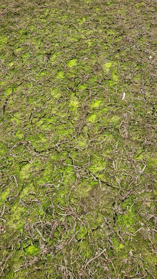 주)미산 조전무님의 자유주제 · 자유게시판 작성글 사진