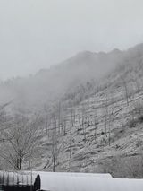 팜모닝 자유주제·자유게시판 게시글 이미지