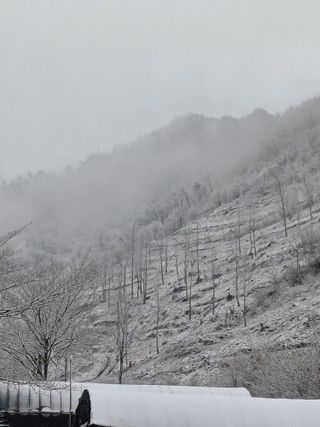 까두까두 님의 자유주제 · 자유게시판 작성글 사진