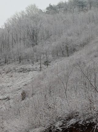 까두까두 님의 자유주제 · 자유게시판 작성글 사진