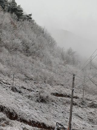 까두까두 님의 자유주제 · 자유게시판 작성글 사진