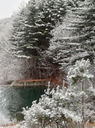 까두까두 님의 자유주제 · 자유게시판 작성글 사진
