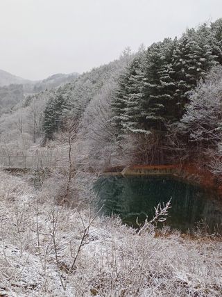 까두까두 님의 자유주제 · 자유게시판 작성글 사진