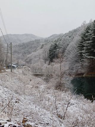 까두까두 님의 자유주제 · 자유게시판 작성글 사진