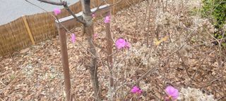 해균님의 3월 농사 계획 같이해요 · 참여글 작성글 사진