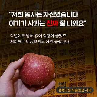 팜모닝 유통님의 팜모닝공식 · 판매신청 작성글 사진