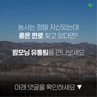 팜모닝 유통님의 팜모닝공식 · 판매신청 작성글 사진