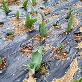 이창화님의 기타작물 · 자유게시판 작성글 사진