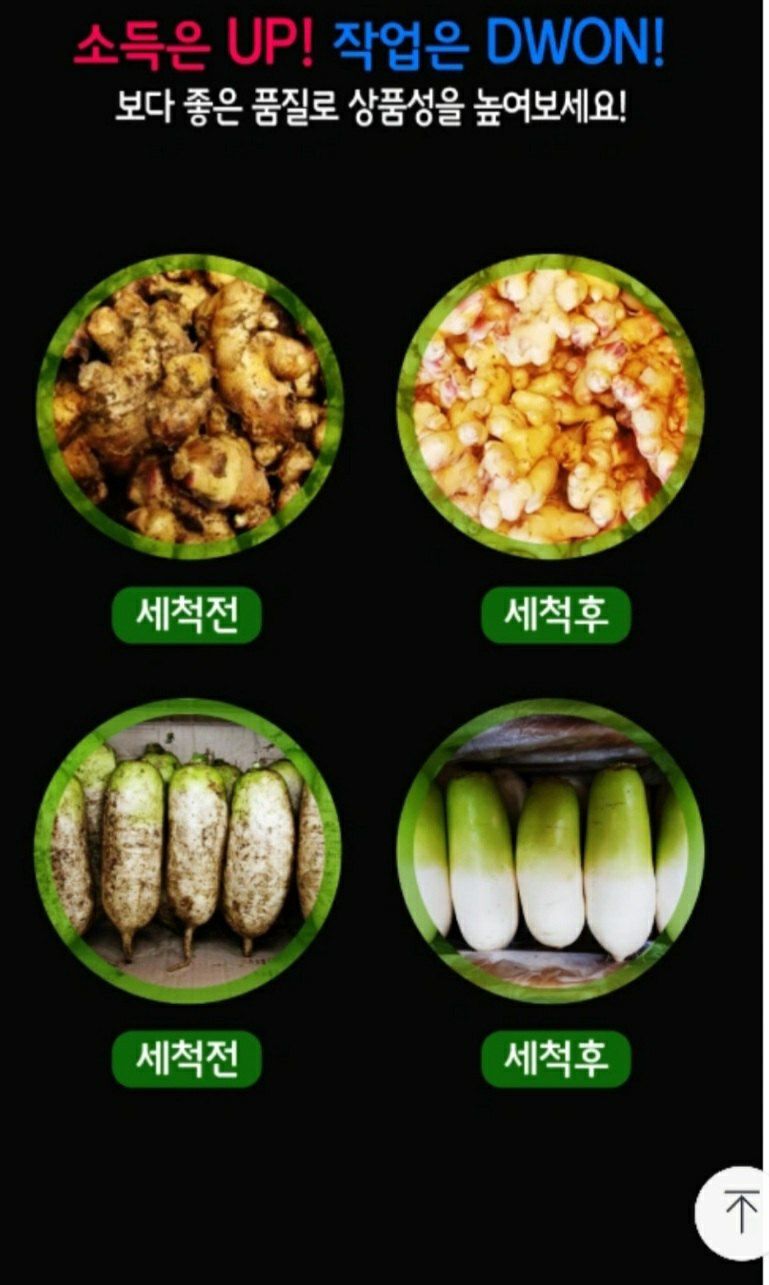 알 수 없음님의 장터 판매 상품 [농산물세척기 구근류세척기(새제품) 판매] 첨부 사진