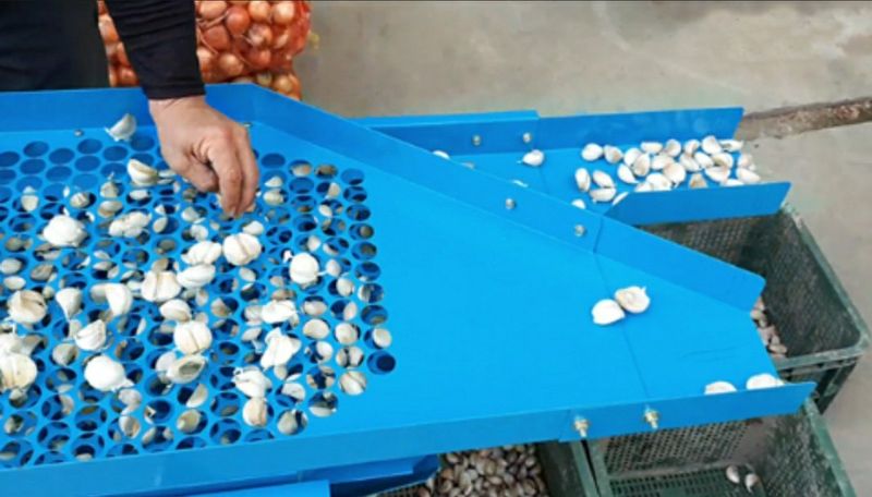 장터 상품 [마늘쪽 선별기 판매] 썸네일