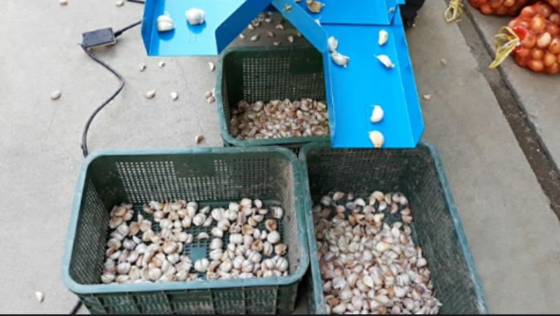 알 수 없음님의 장터 판매 상품 [마늘쪽 선별기 판매] 첨부 사진