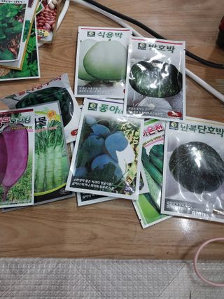 허향선님의 3월 농사 계획 같이해요 · 참여글 작성글 사진