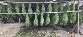 영원제일농원님의 팜모닝 · 출석 작성글 사진