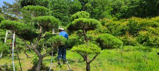 영원제일농원님의 팜모닝 · 출석 작성글 사진