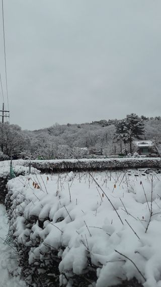안복순님의 3월 농사 계획 같이해요 · 참여글 작성글 사진